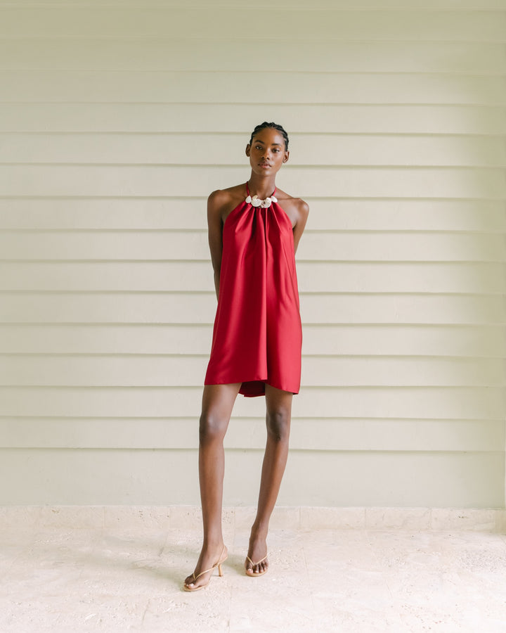 Alexander Mini Dress