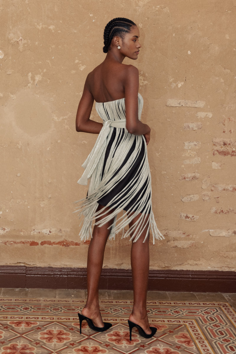 Barro Mini Dress