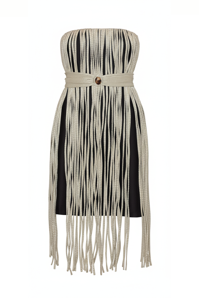 Barro Mini Dress