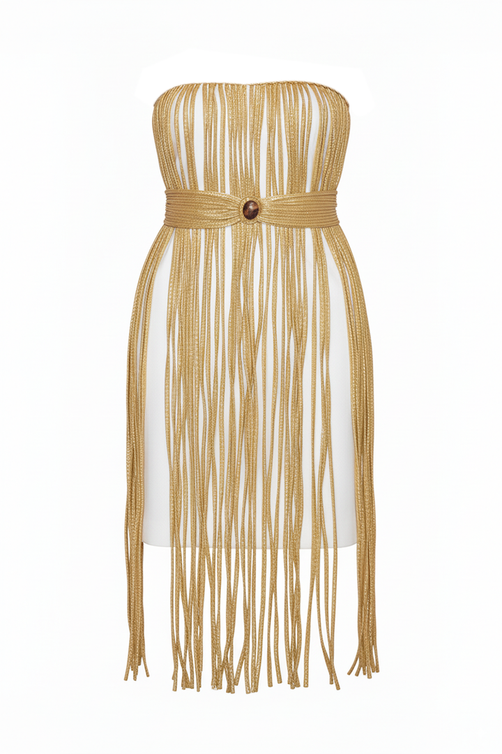 Barro Mini Dress