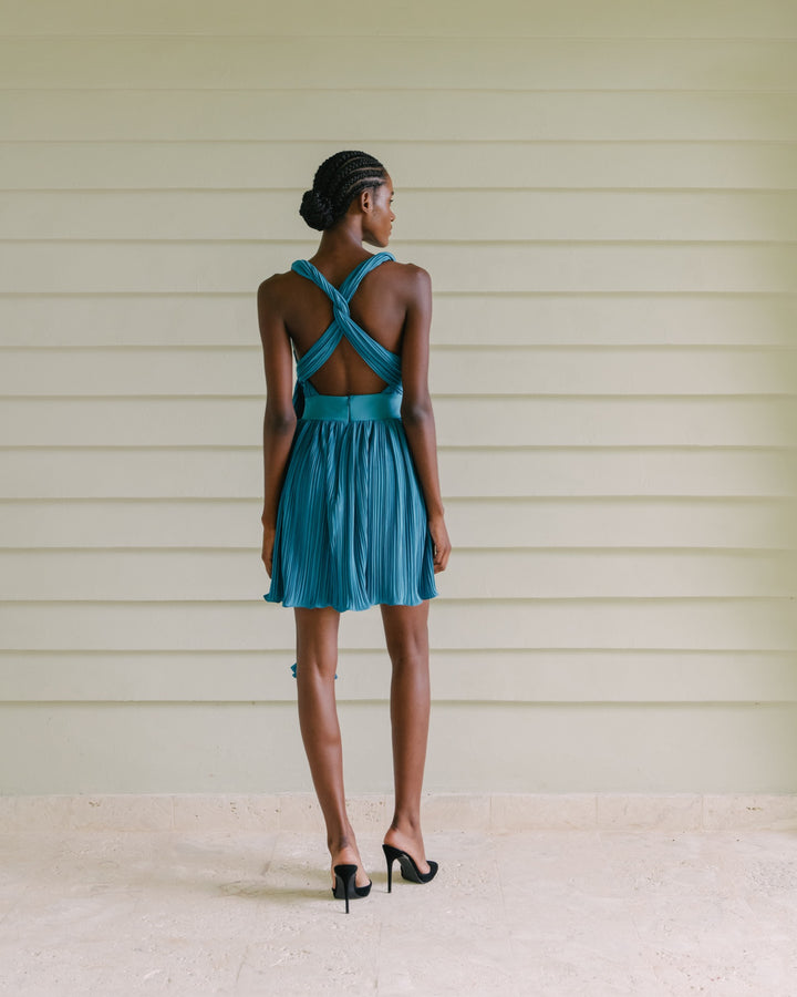 Cayito Mini Dress