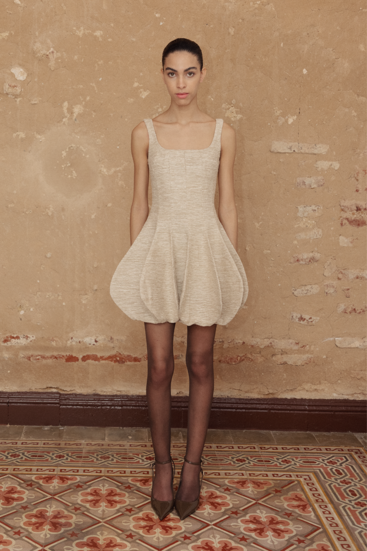 Hispaniola Mini Dress