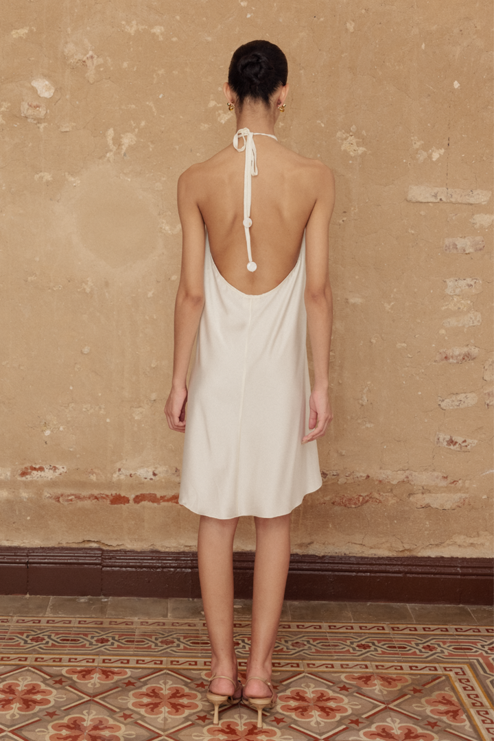 Alexander Mini Dress
