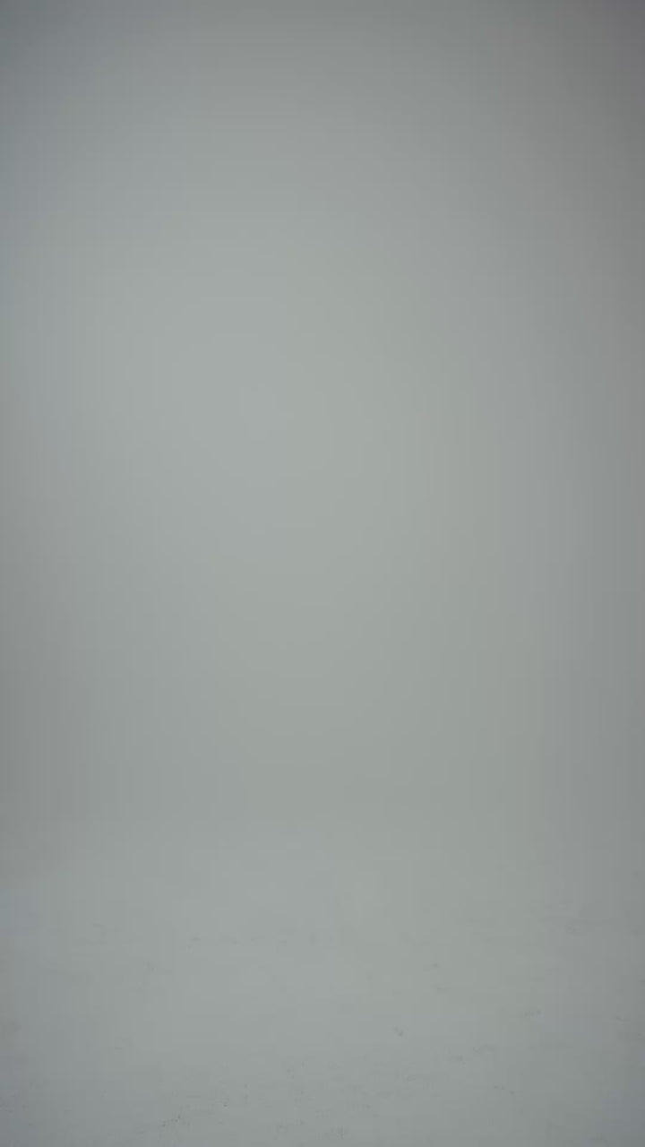 Bruma Dress
