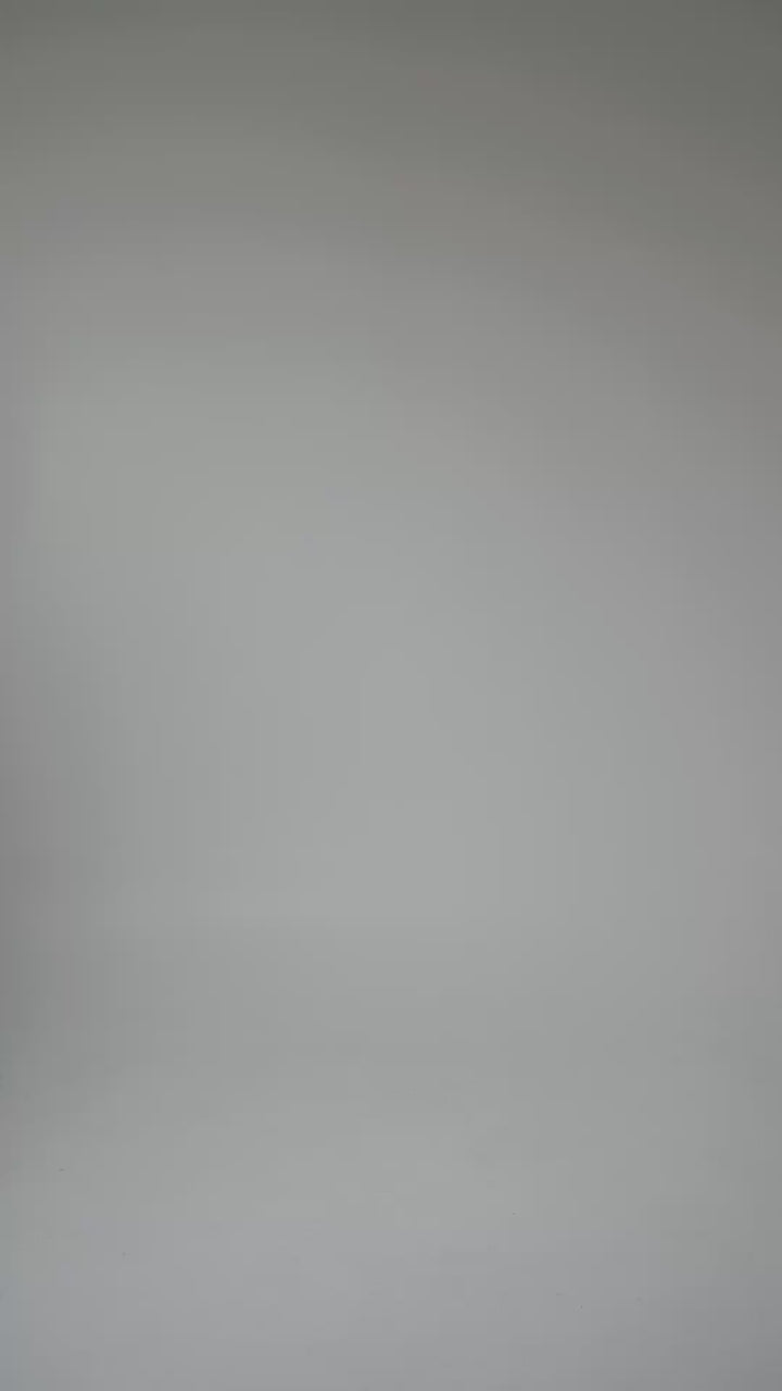 Palma Vest